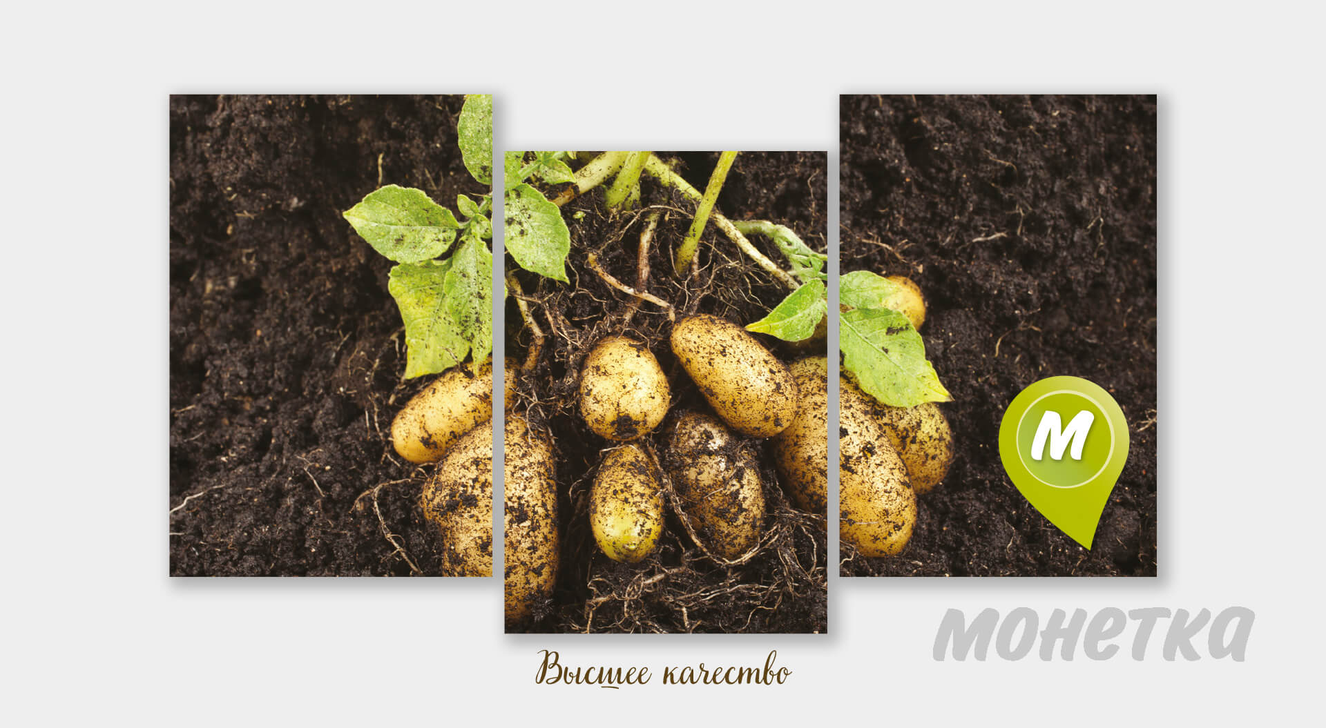 Monetka Supermarkets, Fresh Potatoes, Fruit and Vegetable graphics and branding - Campbell Rigg Agency