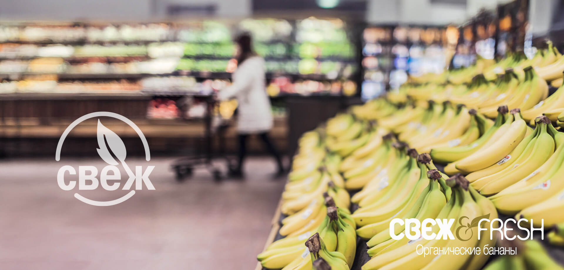 Fresh & Fresh branding of fruit department - Organic bananas.