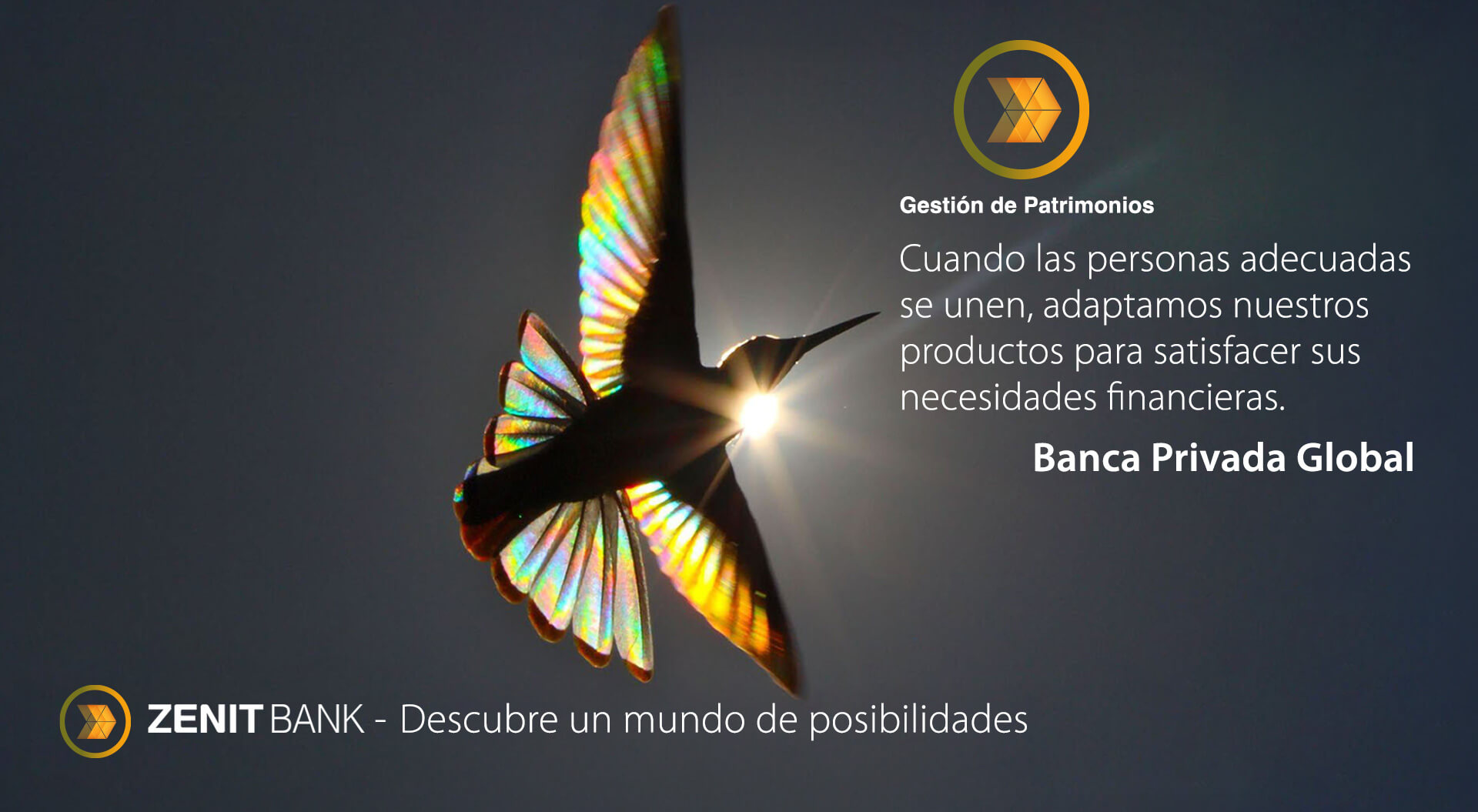 La imagen es un anuncio de un servicio de "Banca Privada Global", que ofrece soluciones de gestión de patrimonio para ayudar a los clientes a alcanzar sus objetivos financieros a través de opciones de inversión discrecionales.