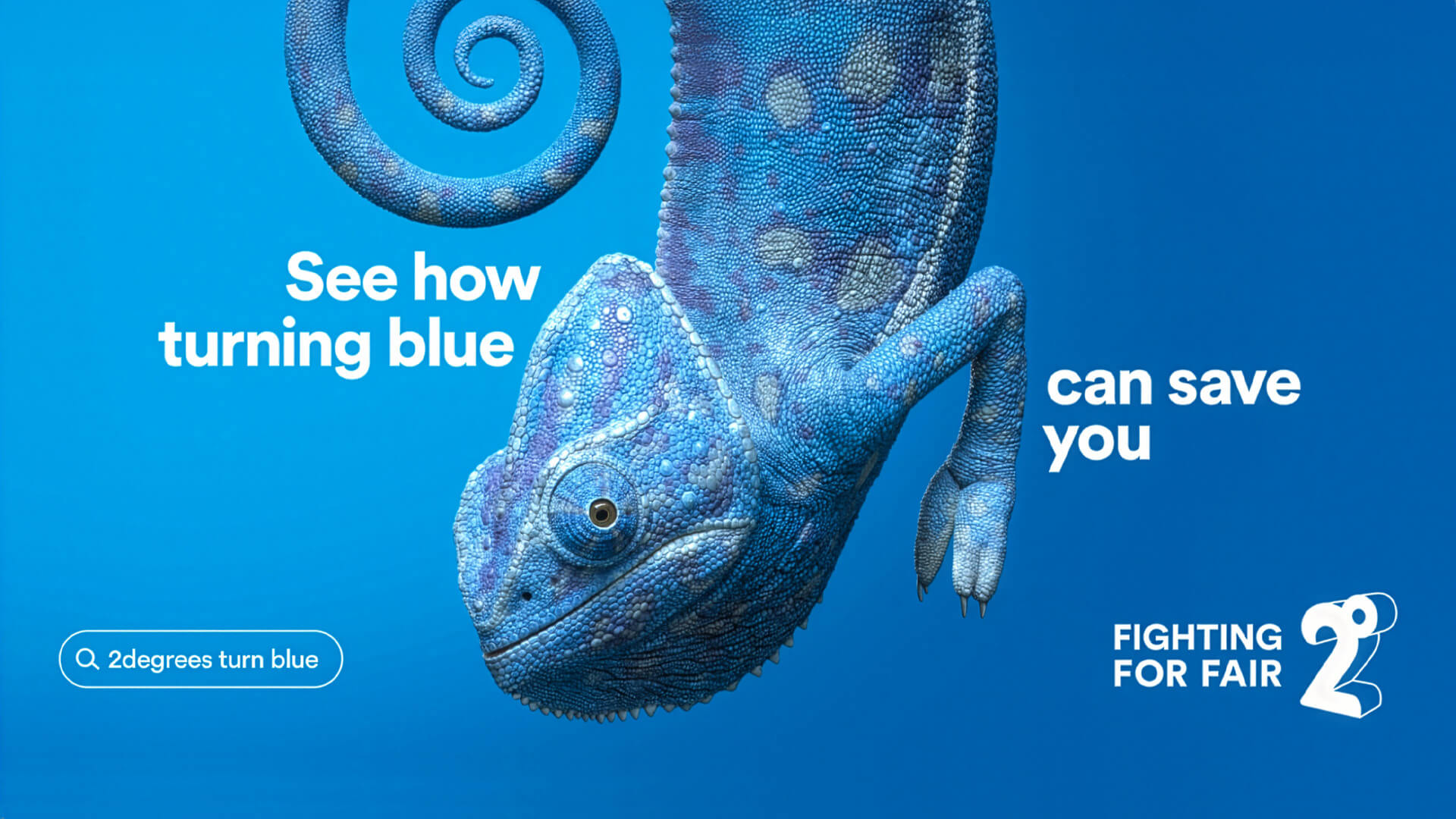 This advertisement is from a 2degrees marketing campaign in New Zealand created by TBWA\New Zealand, featuring a blue chameleon to encourage people to switch telecommunications providers to save money.