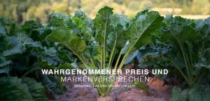 Preiswahrnehmung und Markenversprechen
Branding, das den Umsatz steigert – Frische Rote Bete auf ei