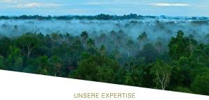 Branding und Marketing für philanthropische und wohltätige, nachhaltige Investitionen in den Regenwa