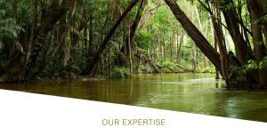 Branding and Marketing Philanthropic & Charitable, Sustainable Rain Forrest  Investment.